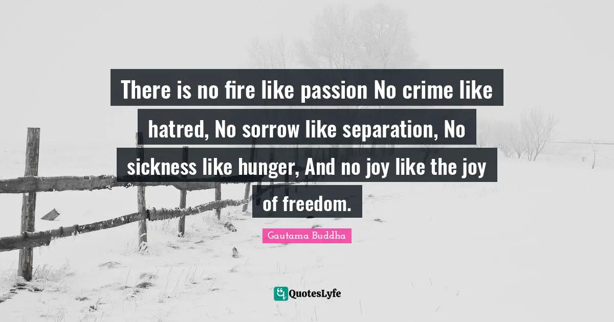 Sickness Quotes: "There is no fire like passion No crime like hatred, No sorrow like separation, No sickness like hunger, And no joy like the joy of freedom."