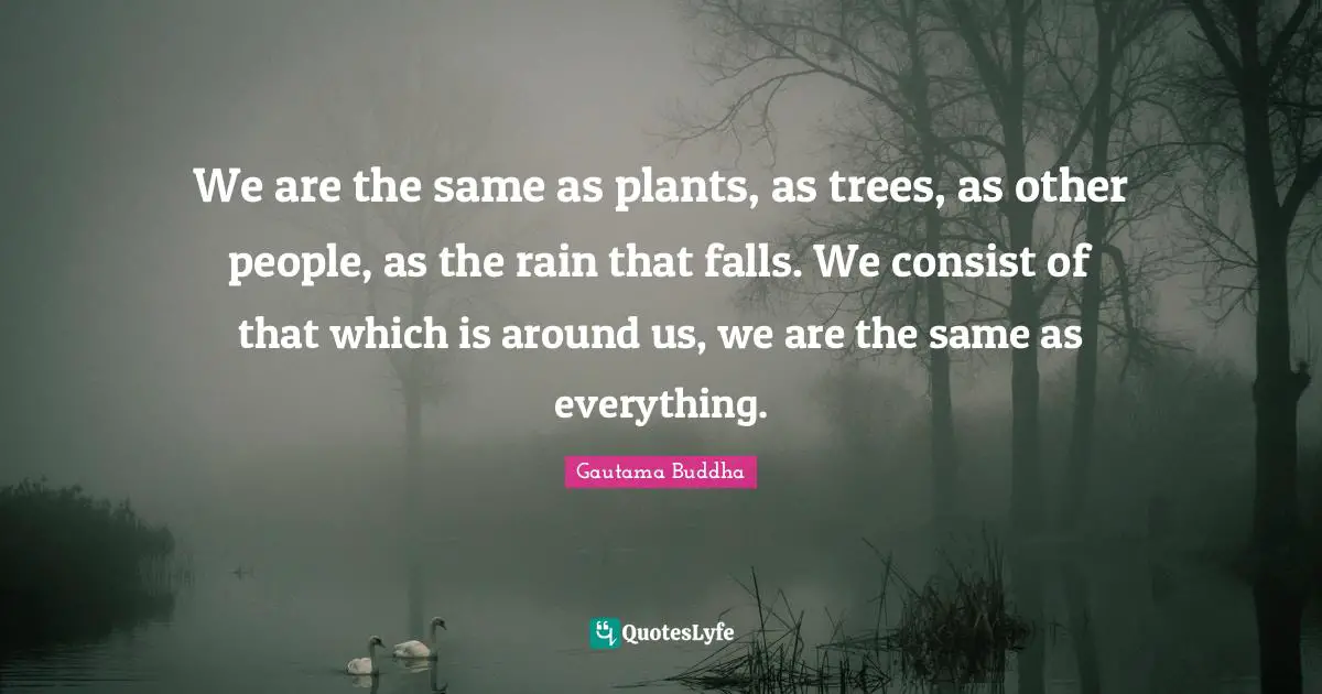 We are the same as plants, as trees, as other people, as the rain that falls. We consist of that which is around us, we are the same as everything.