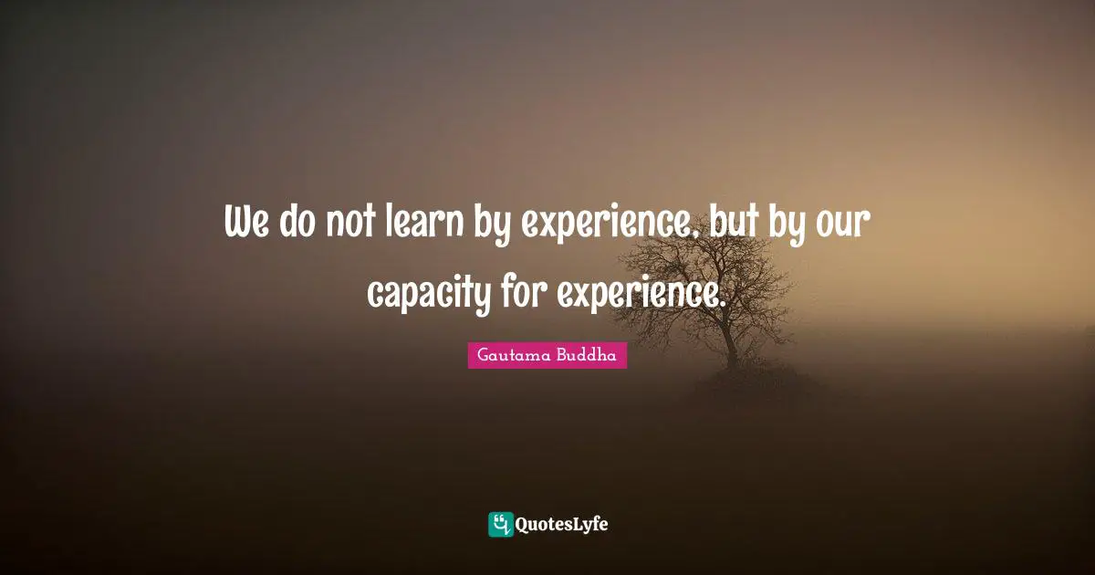 We do not learn by experience, but by our capacity for experience.