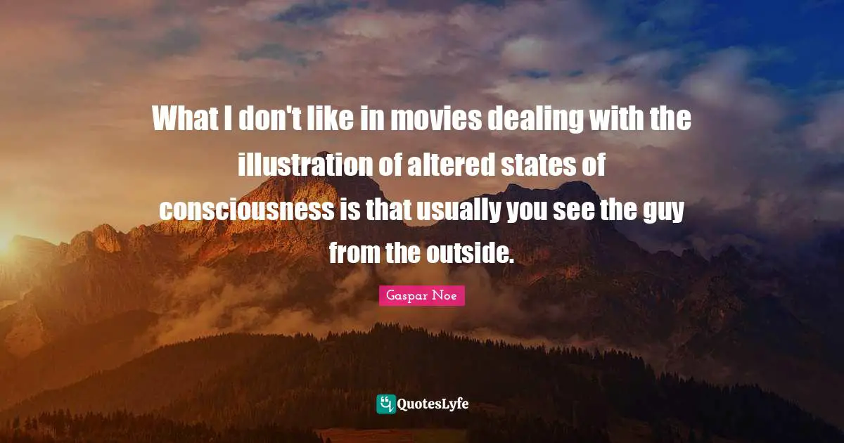 Gaspar Noe Quotes: "What I don't like in movies dealing with the illustration of altered states of consciousness is that usually you see the guy from the outside."