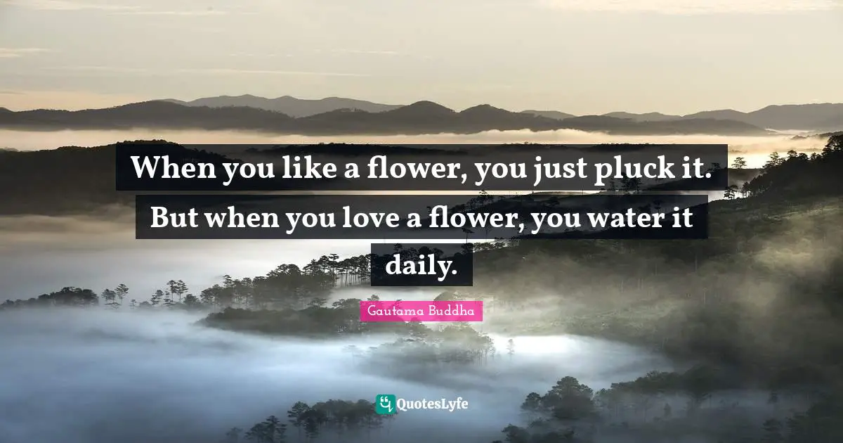 When you like a flower, you just pluck it. But when you love a flower, you water it daily.