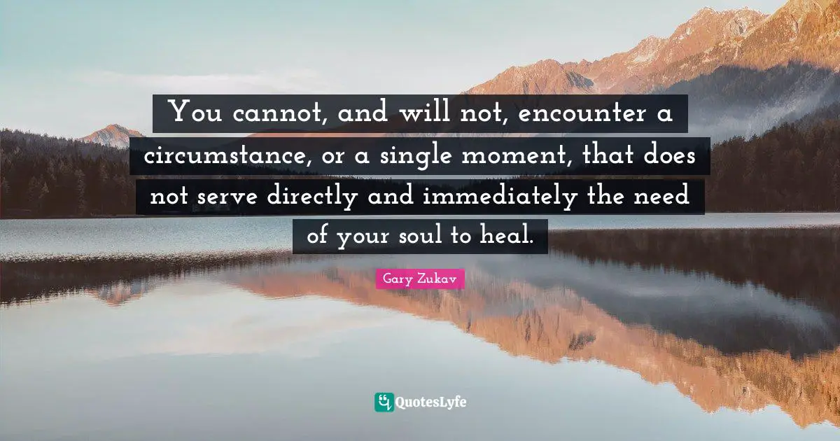 Gary Zukav Quotes: "You cannot, and will not, encounter a circumstance, or a single moment, that does not serve directly and immediately the need of your soul to heal."