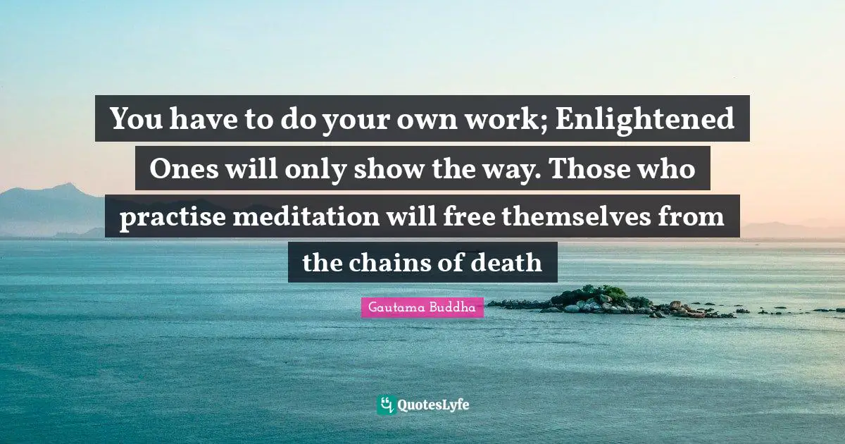 You have to do your own work; Enlightened Ones will only show the way. Those who practise meditation will free themselves from the chains of death