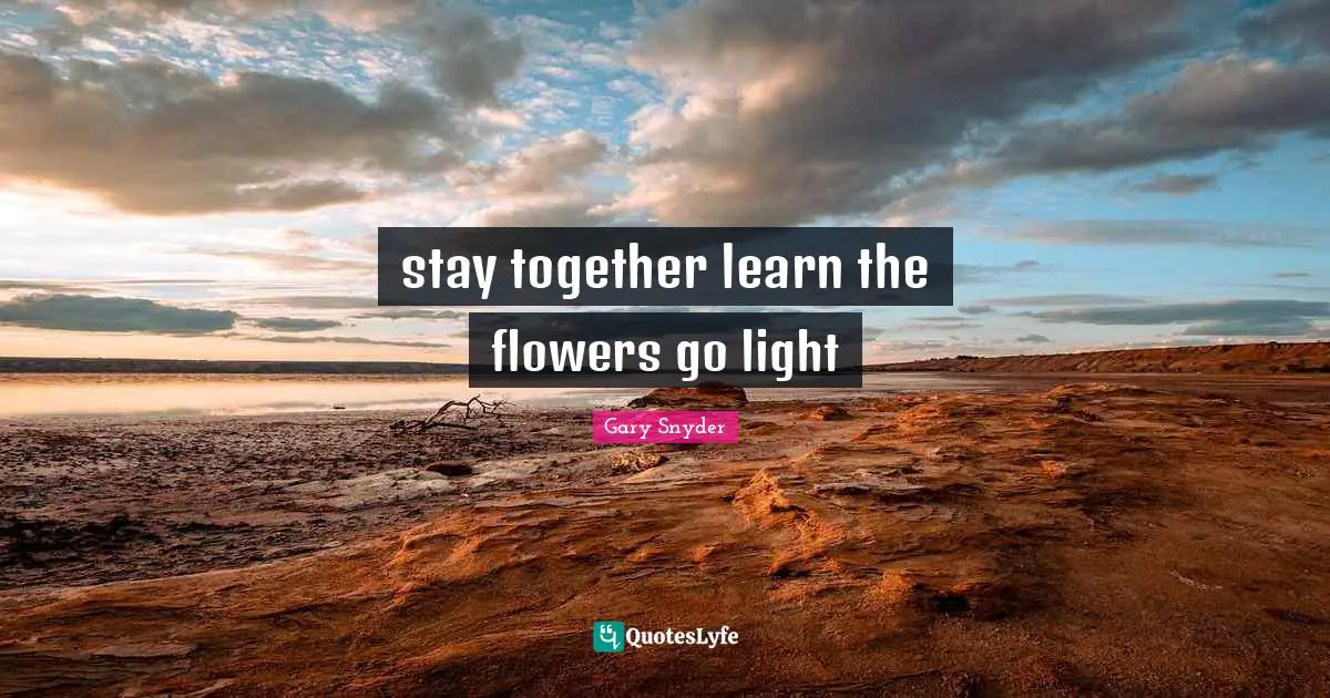 stay together learn the flowers go light