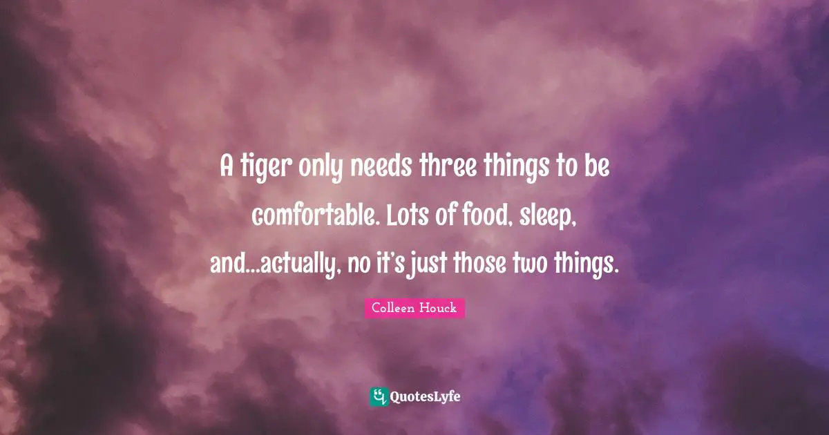 A tiger only needs three things to be comfortable. Lots of food, sleep, and…actually, no it’s just those two things.
