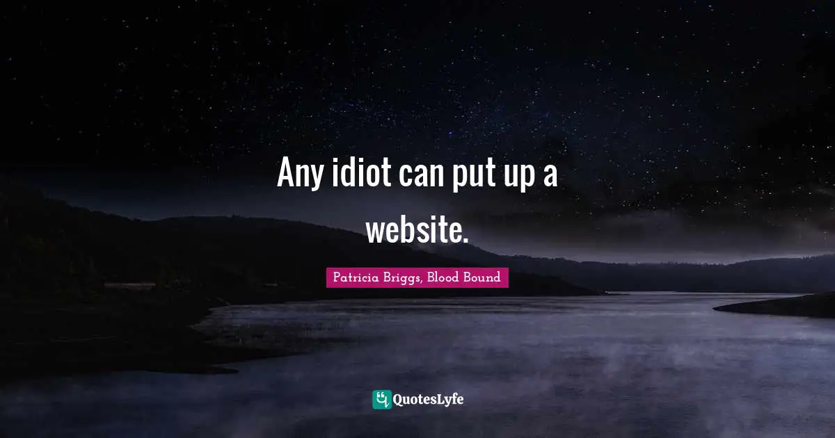 Computers Quotes: "Any idiot can put up a website."