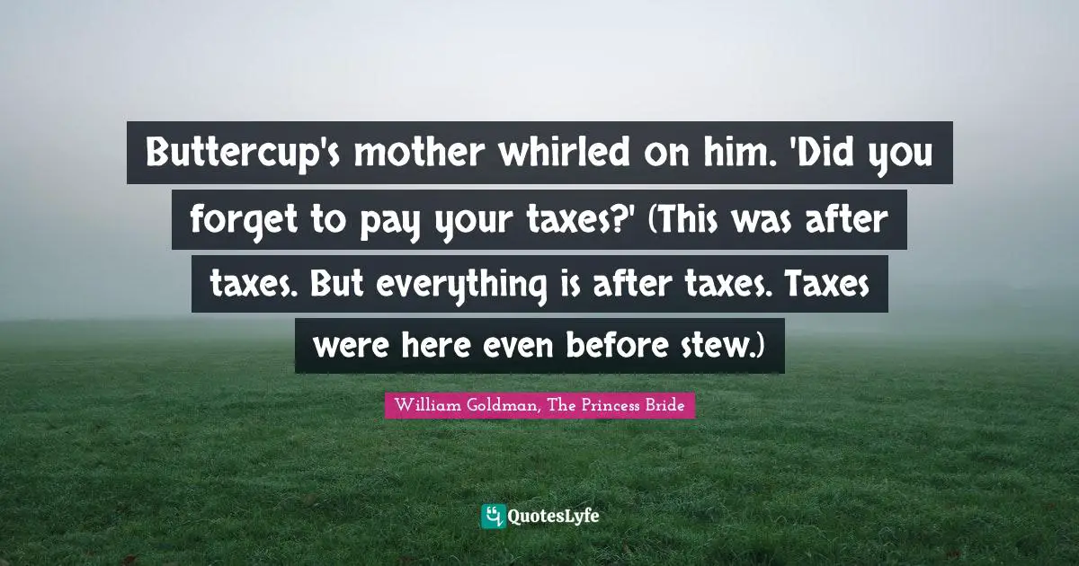 Buttercup's mother whirled on him. 'Did you forget to pay your taxes?' (This was after taxes. But everything is after taxes. Taxes were here even before stew.)