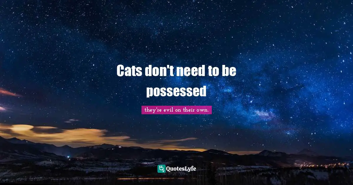 Cats don't need to be possessed