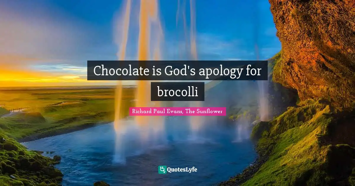 Chocolate is God's apology for brocolli
