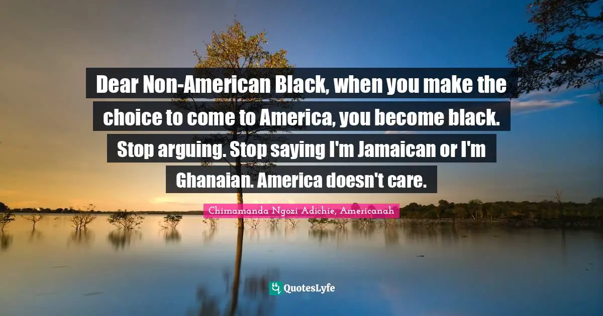 Dear Non-American Black, when you make the choice to come to America, you become black. Stop arguing. Stop saying I'm Jamaican or I'm Ghanaian. America doesn't care.