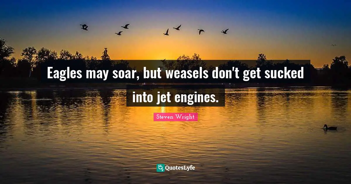 Eagles may soar, but weasels don't get sucked into jet engines.