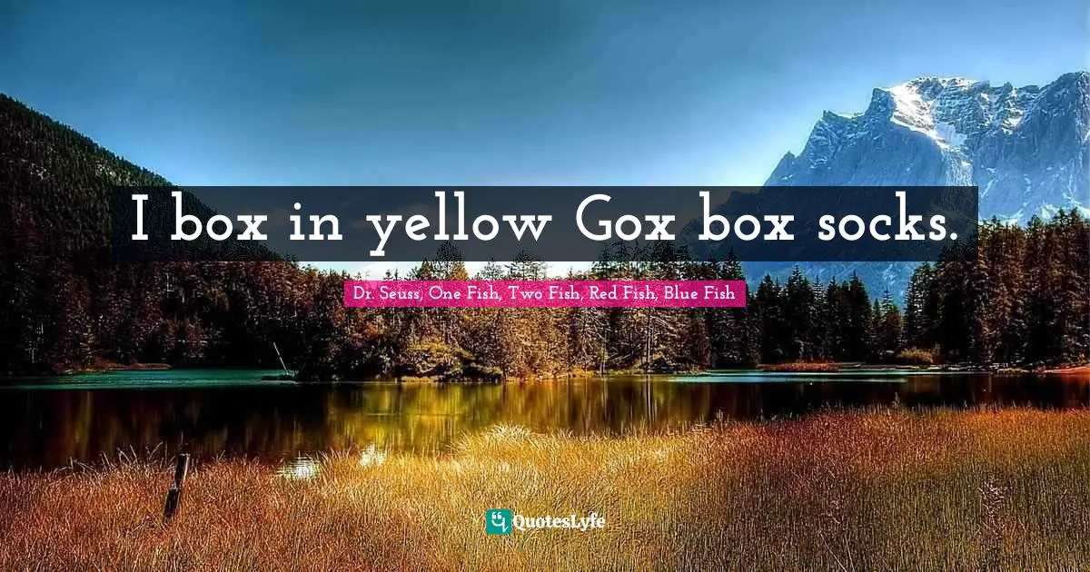 I box in yellow Gox box socks.