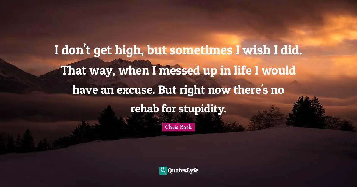 Chris Rock Quotes: "I don't get high, but sometimes I wish I did. That way, when I messed up in life I would have an excuse. But right now there's no rehab for stupidity."