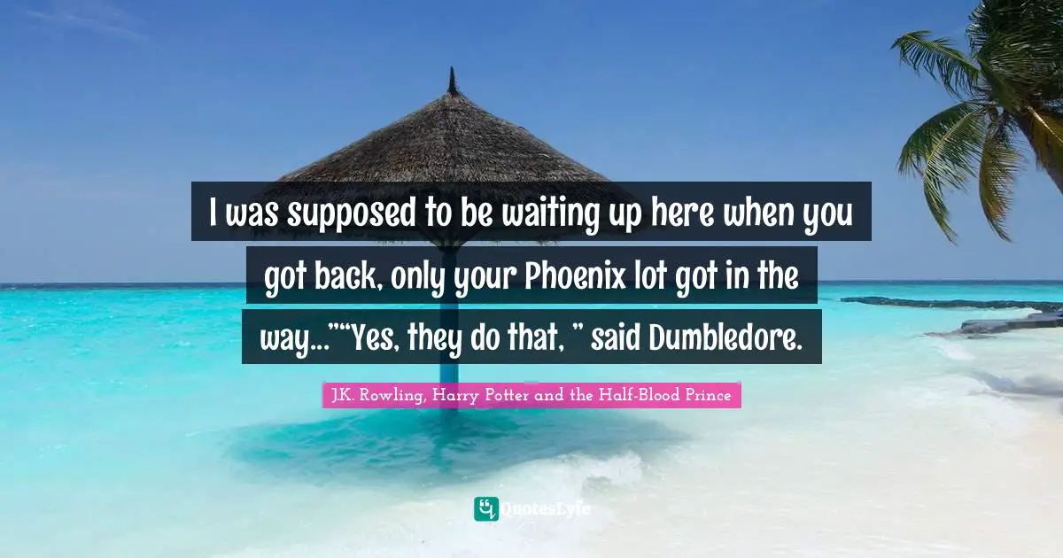 I was supposed to be waiting up here when you got back, only your Phoenix lot got in the way...”“Yes, they do that, ” said Dumbledore.