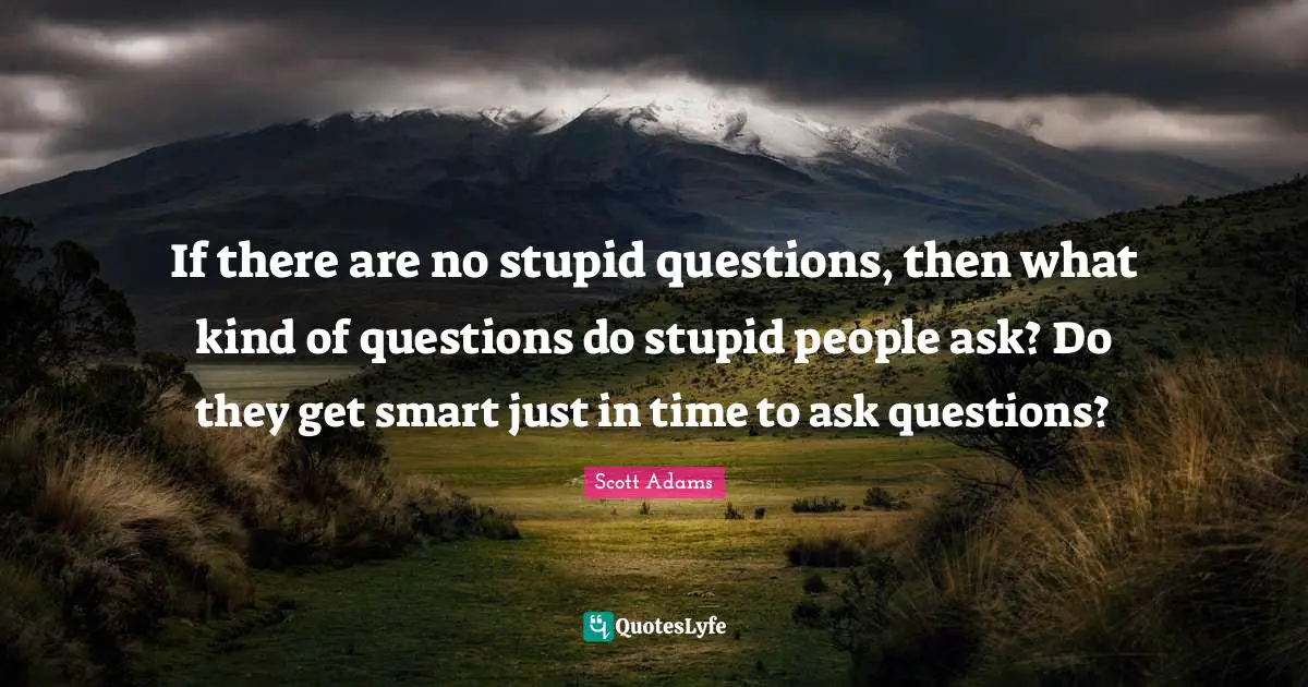 If there are no stupid questions, then what kind of questions do stupid people ask? Do they get smart just in time to ask questions?