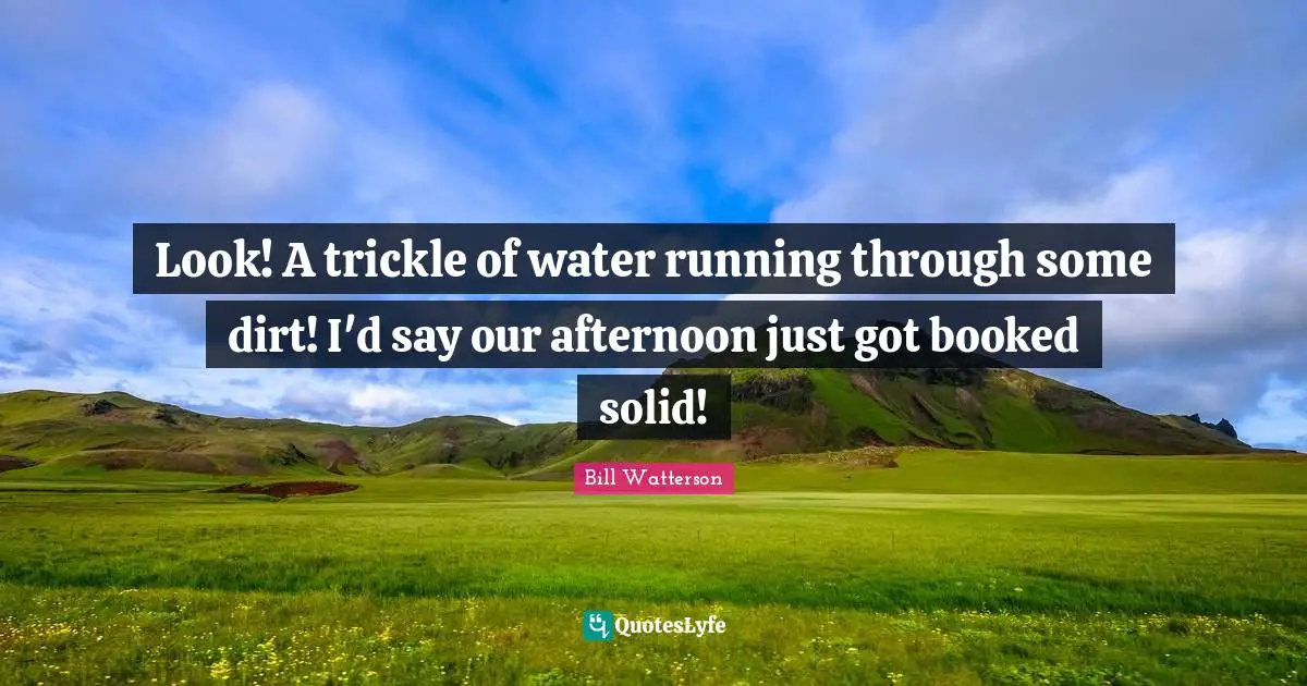 Look! A trickle of water running through some dirt! I'd say our afternoon just got booked solid!