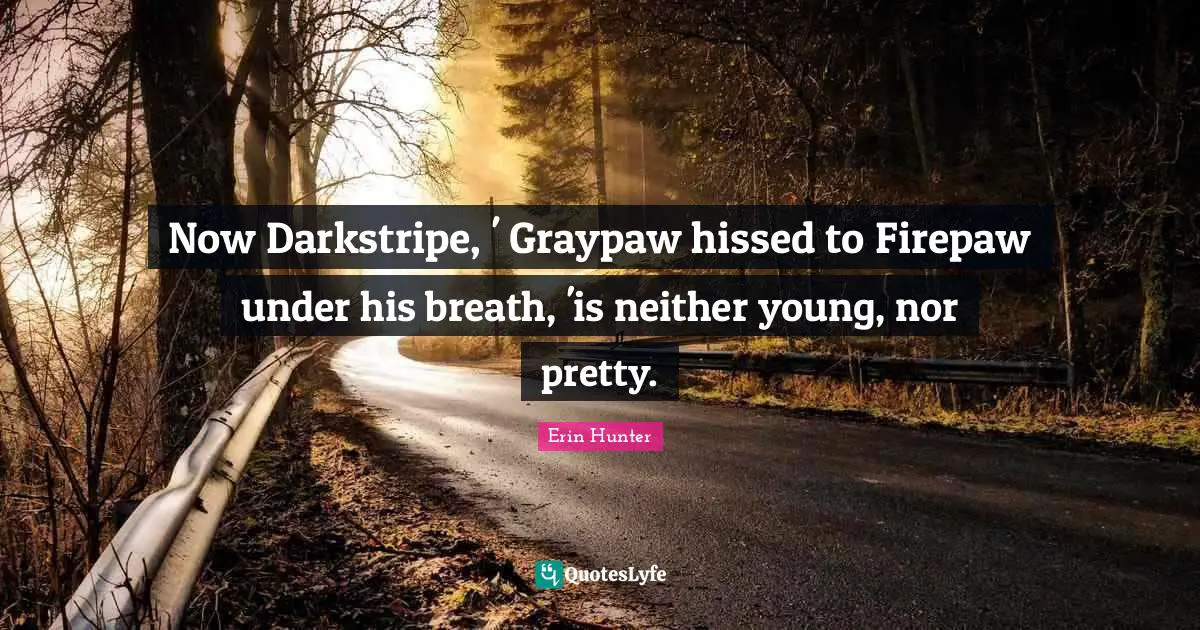 Now Darkstripe, ' Graypaw hissed to Firepaw under his breath, 'is neither young, nor pretty.