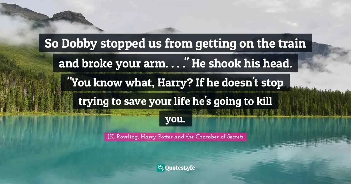 So Dobby stopped us from getting on the train and broke your arm. . . ." He shook his head. "You know what, Harry? If he doesn't stop trying to save your life he's going to kill you.