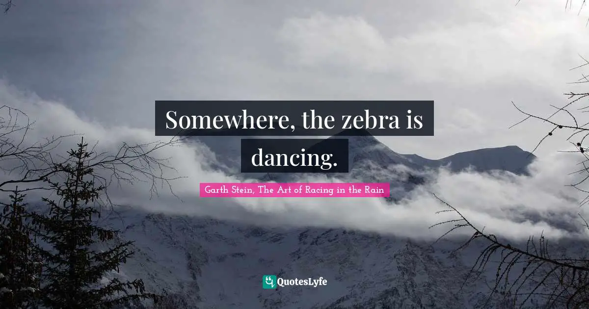 Somewhere, the zebra is dancing.