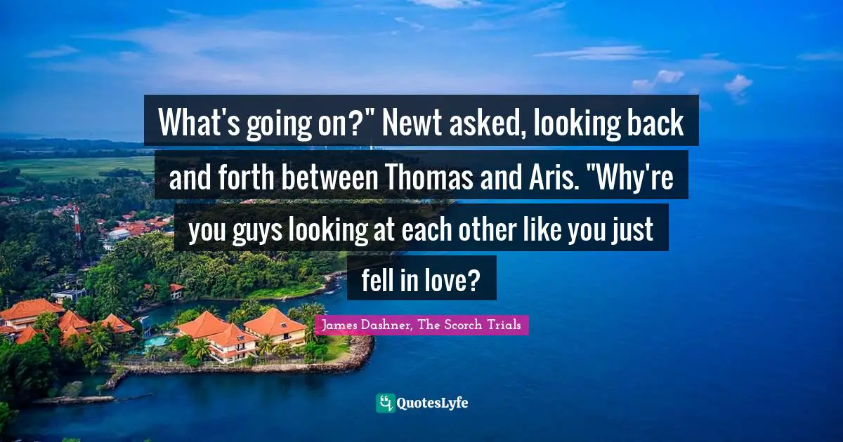 Thomas Quotes: "What's going on?" Newt asked, looking back and forth between Thomas and Aris. "Why're you guys looking at each other like you just fell in love?"