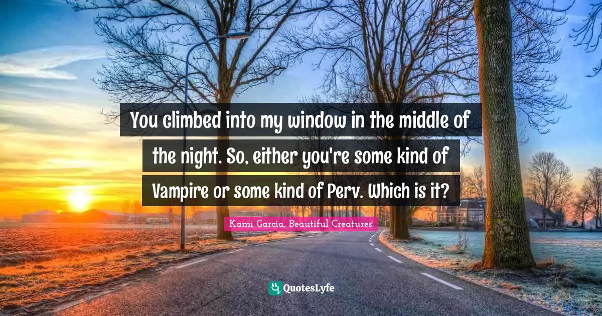 You climbed into my window in the middle of the night. So, either you're some kind of Vampire or some kind of Perv. Which is it?