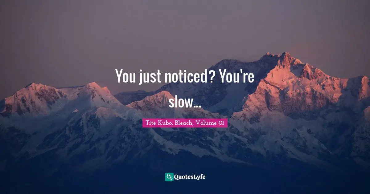 Bleach Quotes: "You just noticed? You're slow..."