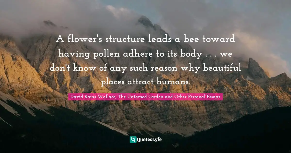 A flower's structure leads a bee toward having pollen adhere to its body . . . we don't know of any such reason why beautiful places attract humans.