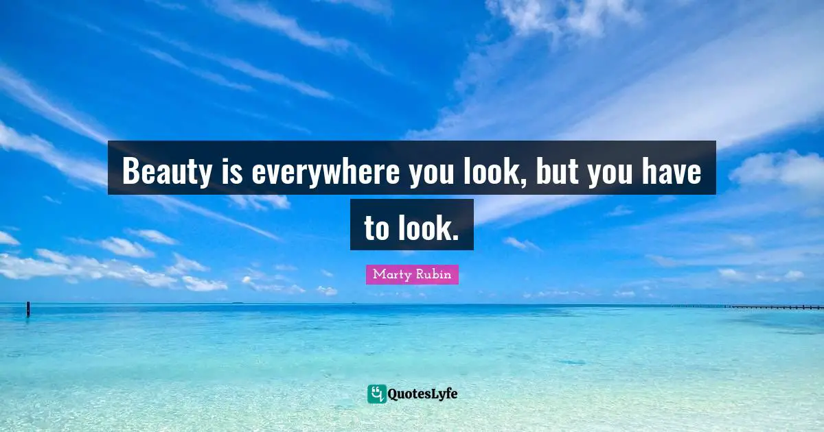 Beauty is everywhere you look, but you have to look.