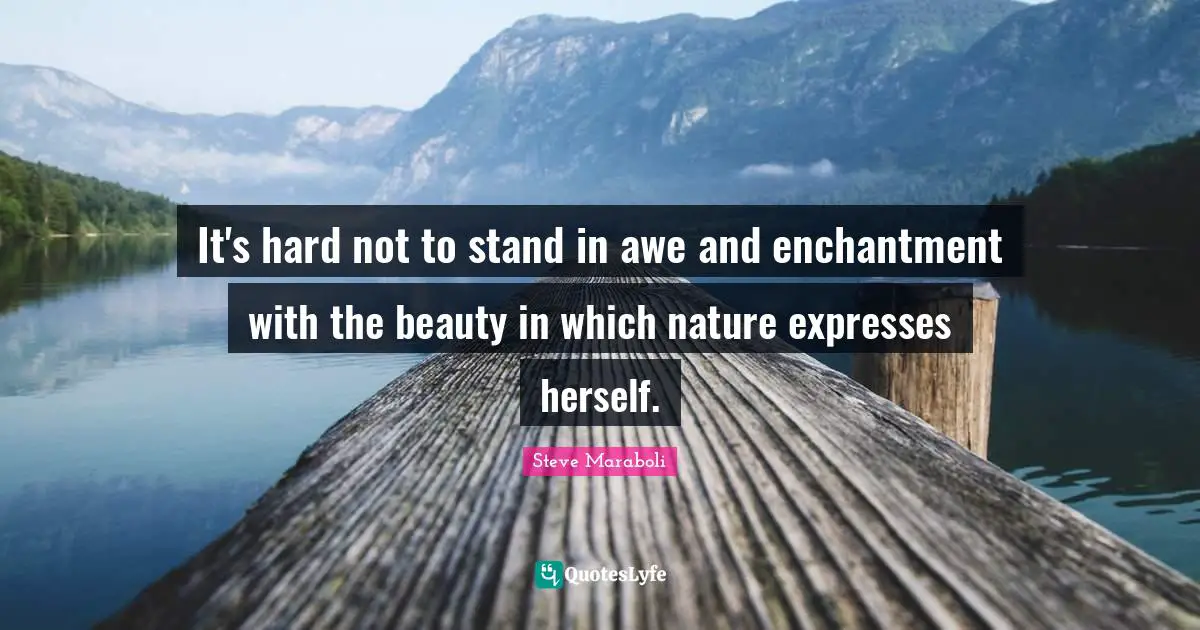 It's hard not to stand in awe and enchantment with the beauty in which nature expresses herself.