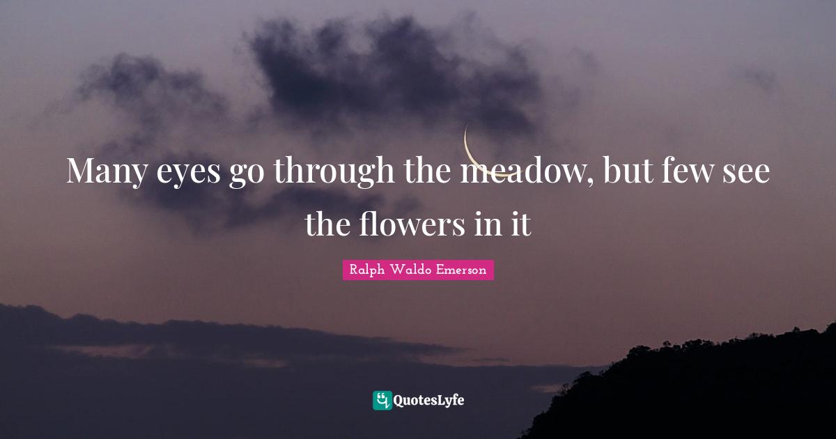 Many eyes go through the meadow, but few see the flowers in it