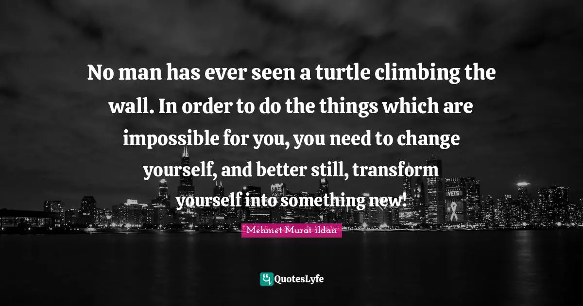 No man has ever seen a turtle climbing the wall. In order to do the things which are impossible for you, you need to change yourself, and better still, transform yourself into something new!