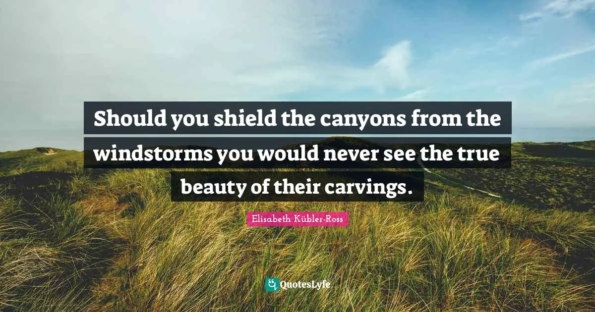 Should you shield the canyons from the windstorms you would never see the true beauty of their carvings.