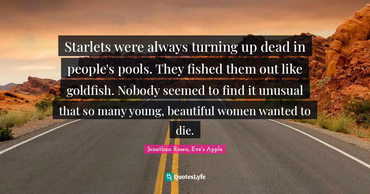 Starlets were always turning up dead in people's pools. They fished them out like goldfish. Nobody seemed to find it unusual that so many young, beautiful women wanted to die.