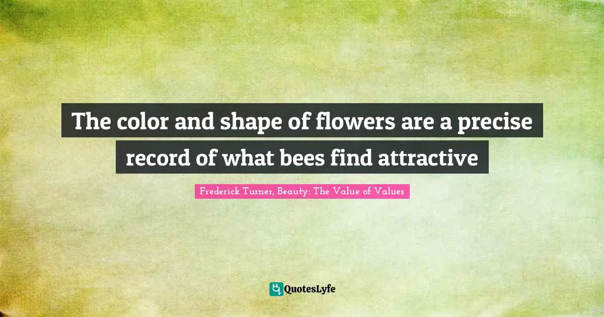 The color and shape of flowers are a precise record of what bees find attractive