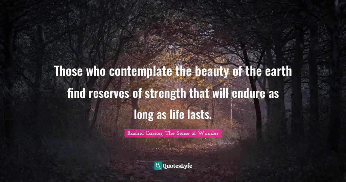 Nature Quotes: "Those who contemplate the beauty of the earth find reserves of strength that will endure as long as life lasts."