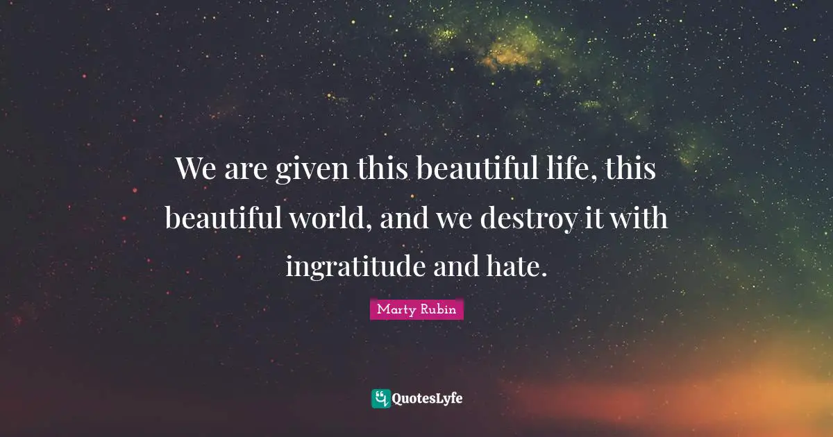 We are given this beautiful life, this beautiful world, and we destroy it with ingratitude and hate.