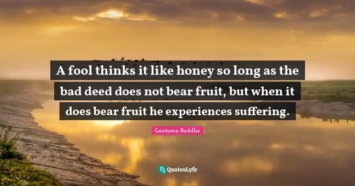 A fool thinks it like honey so long as the bad deed does not bear fruit, but when it does bear fruit he experiences suffering.