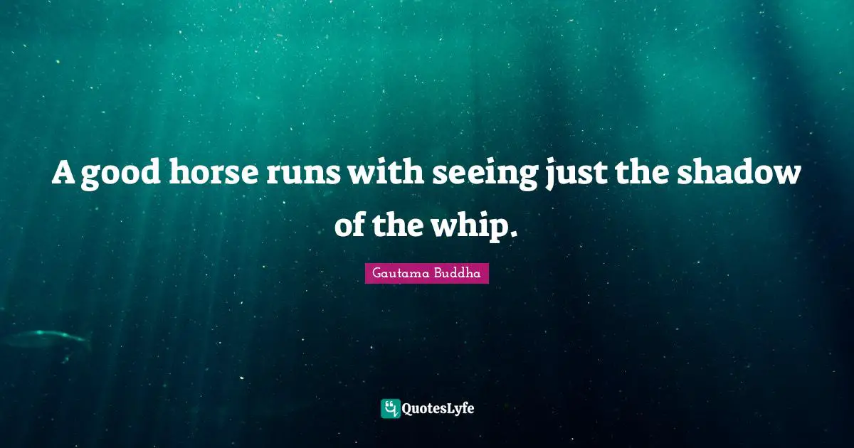 A good horse runs with seeing just the shadow of the whip.