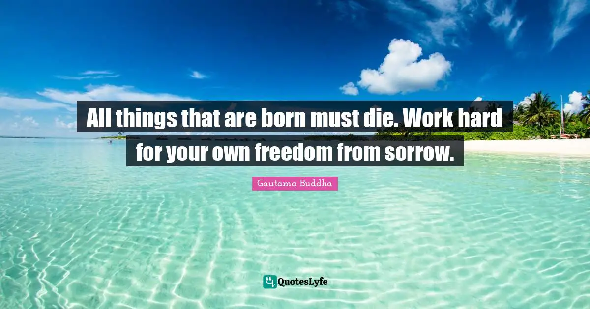 All things that are born must die. Work hard for your own freedom from sorrow.