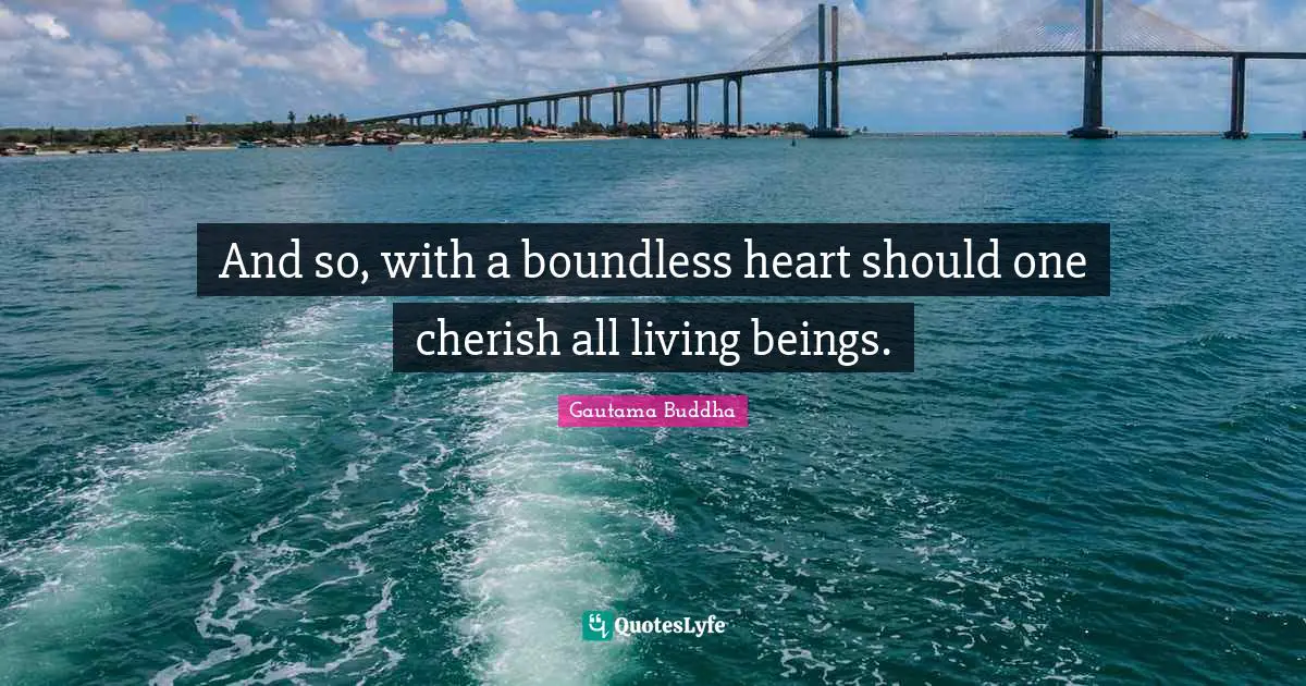 And so, with a boundless heart should one cherish all living beings.