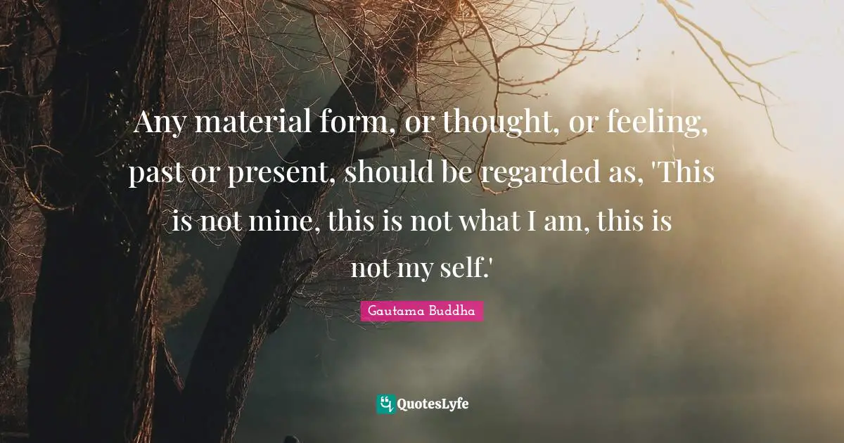 Any material form, or thought, or feeling, past or present, should be regarded as, 'This is not mine, this is not what I am, this is not my self.'