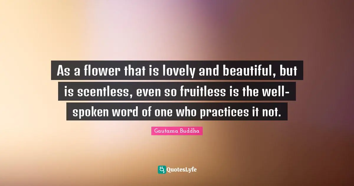 As a flower that is lovely and beautiful, but is scentless, even so fruitless is the well-spoken word of one who practices it not.