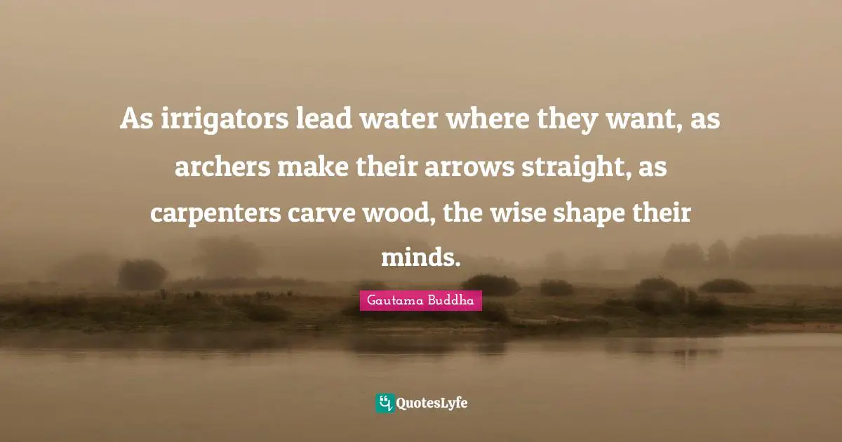 As irrigators lead water where they want, as archers make their arrows straight, as carpenters carve wood, the wise shape their minds.