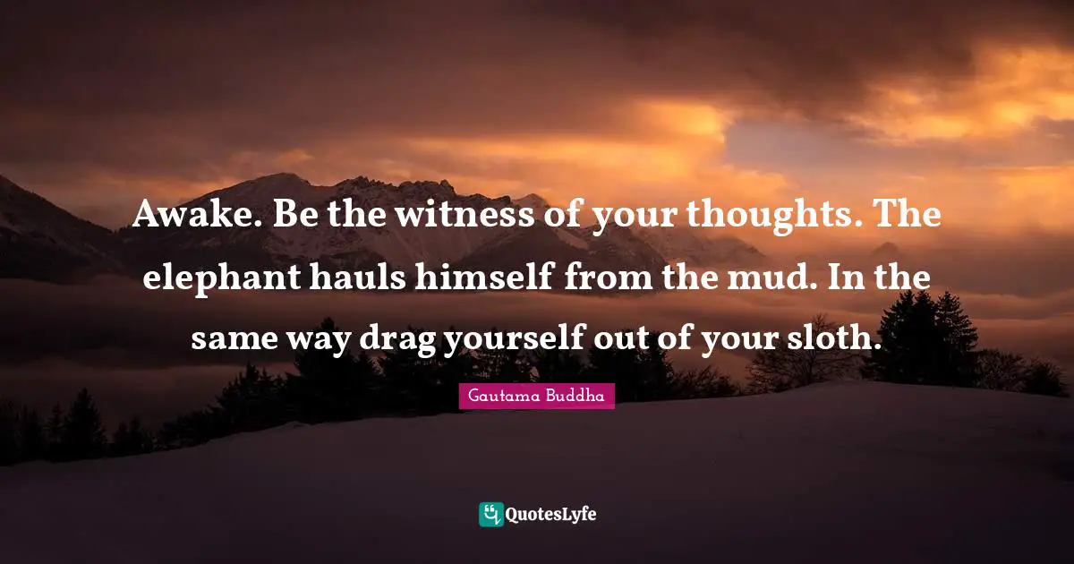Sloth Quotes: "Awake. Be the witness of your thoughts. The elephant hauls himself from the mud. In the same way drag yourself out of your sloth."