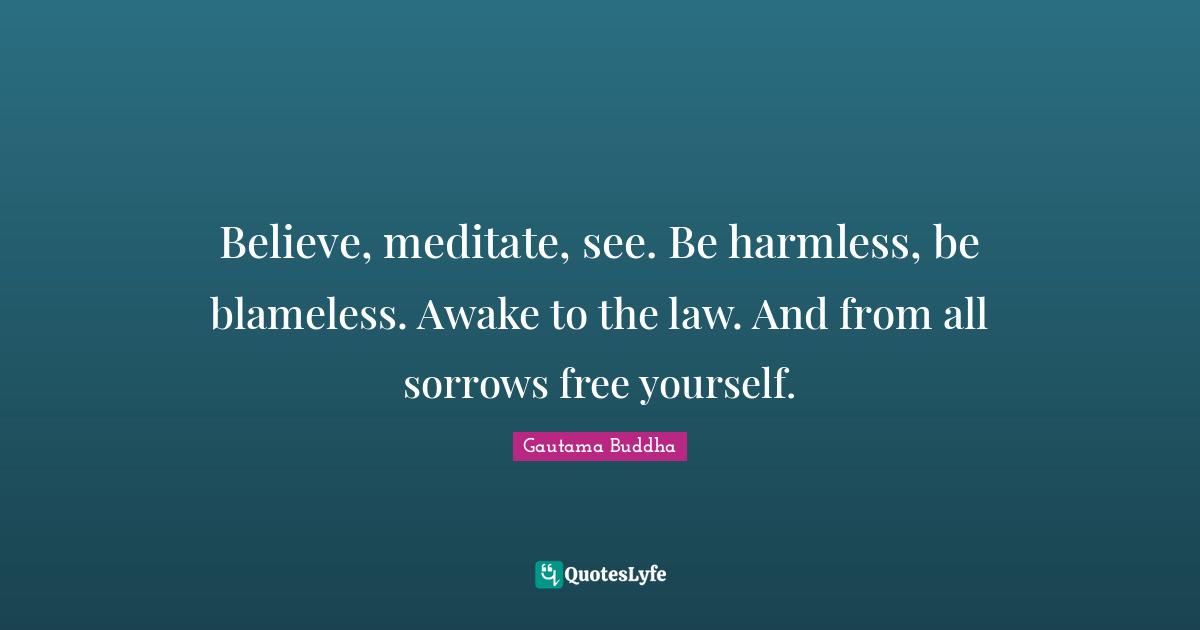 Believe, meditate, see. Be harmless, be blameless. Awake to the law. And from all sorrows free yourself.