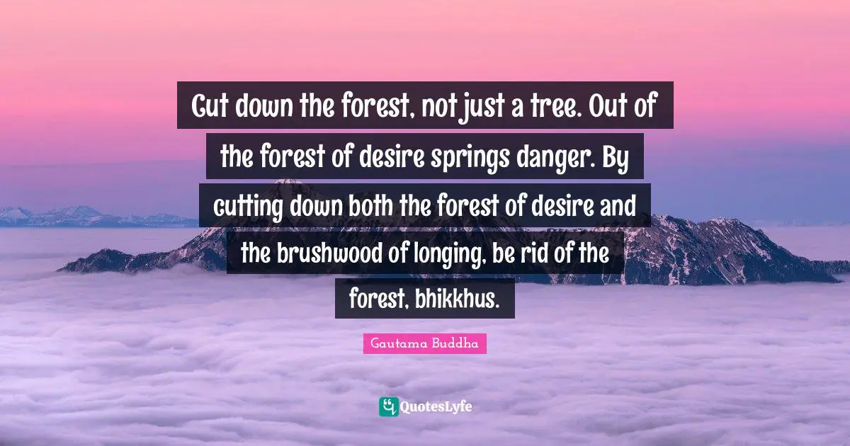Cut down the forest, not just a tree. Out of the forest of desire springs danger. By cutting down both the forest of desire and the brushwood of longing, be rid of the forest, bhikkhus.