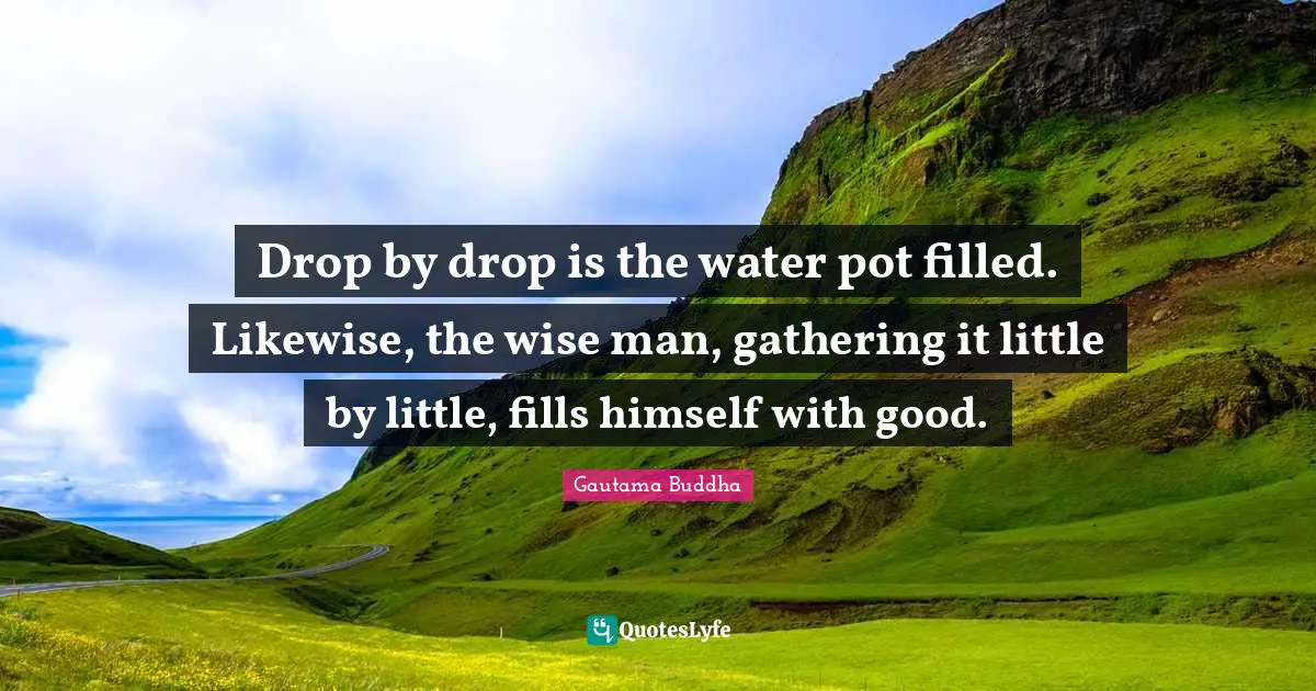 Pot Quotes: "Drop by drop is the water pot filled. Likewise, the wise man, gathering it little by little, fills himself with good."