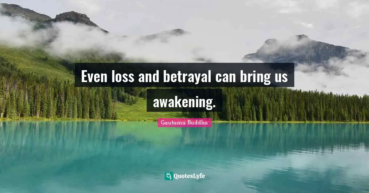 Even loss and betrayal can bring us awakening.