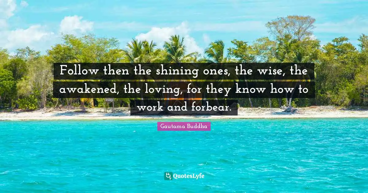 Follow then the shining ones, the wise, the awakened, the loving, for they know how to work and forbear.