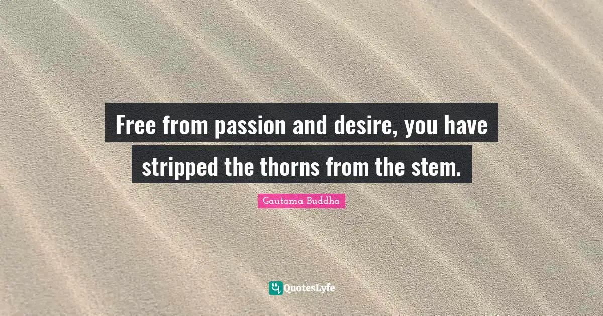 Free from passion and desire, you have stripped the thorns from the stem.